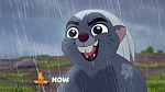 The Lion Guard picture