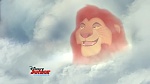 The Lion Guard picture