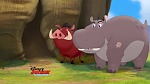 The Lion Guard picture