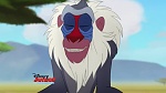Image Le Roi Lion : 