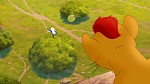 The Lion King :  picture