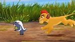 The Lion King :  picture
