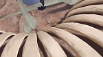 Image The Lion Guard