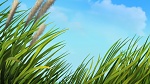 Image The Lion Guard