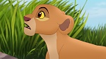 The Lion King :  picture