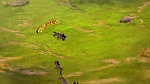 Image The Lion Guard