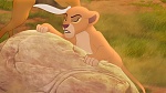 The Lion King :  picture