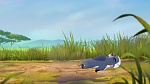 The Lion Guard picture