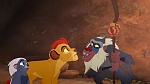 Image Le Roi Lion : 