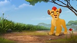 The Lion Guard picture