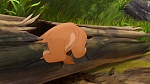 Image Le Roi Lion : 