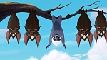 The Lion Guard picture