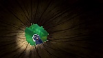 The Lion Guard picture
