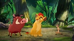 The Lion Guard picture