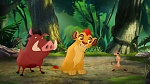 The Lion Guard picture