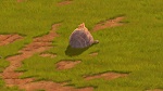The Lion Guard picture