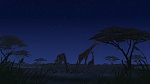 The Lion King 2 : Simba's Pride picture