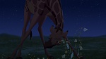 The Lion King 2 : Simba's Pride picture
