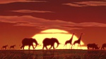 The Lion King 2 : Simba's Pride picture