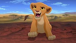 The Lion King 2 : Simba's Pride picture