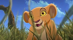 The Lion King 2 : Simba's Pride picture