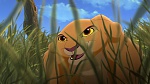 The Lion King 2 : Simba's Pride picture