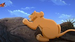 The Lion King 2 : Simba's Pride picture
