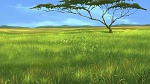 The Lion King 2 : Simba's Pride picture