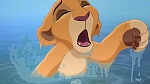The Lion King 2 : Simba's Pride picture