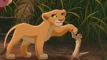 The Lion King 2 : Simba's Pride picture
