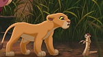 The Lion King 2 : Simba's Pride picture
