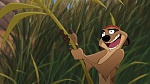 The Lion King 2 : Simba's Pride picture