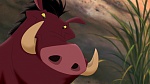 The Lion King 2 : Simba's Pride picture