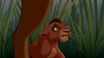The Lion King 2 : Simba's Pride picture