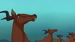 The Lion King 2 : Simba's Pride picture