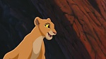 The Lion King 2 : Simba's Pride picture