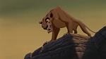 The Lion King 2 : Simba's Pride picture
