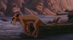 The Lion King 2 : Simba's Pride picture