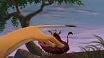 The Lion King 2 : Simba's Pride picture