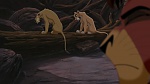 The Lion King 2 : Simba's Pride picture
