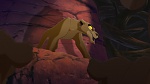 The Lion King 2 : Simba's Pride picture