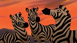 The Lion King 2 : Simba's Pride picture