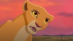 The Lion King 2 : Simba's Pride picture