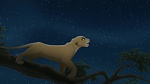 The Lion King 2 : Simba's Pride picture
