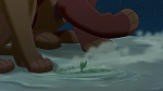 The Lion King 2 : Simba's Pride picture