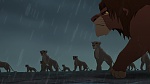 The Lion King 2 : Simba's Pride picture