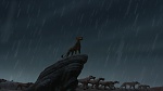 The Lion King 2 : Simba's Pride picture