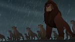 The Lion King 2 : Simba's Pride picture