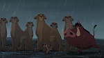 The Lion King 2 : Simba's Pride picture