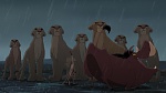 The Lion King 2 : Simba's Pride picture
